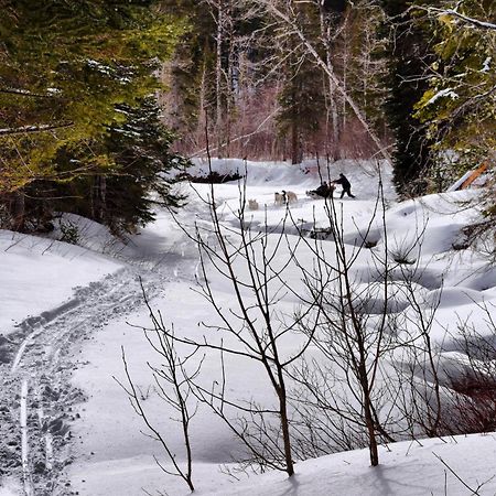 Gite Aux Jardins De L'Anse Perce Eksteriør billede