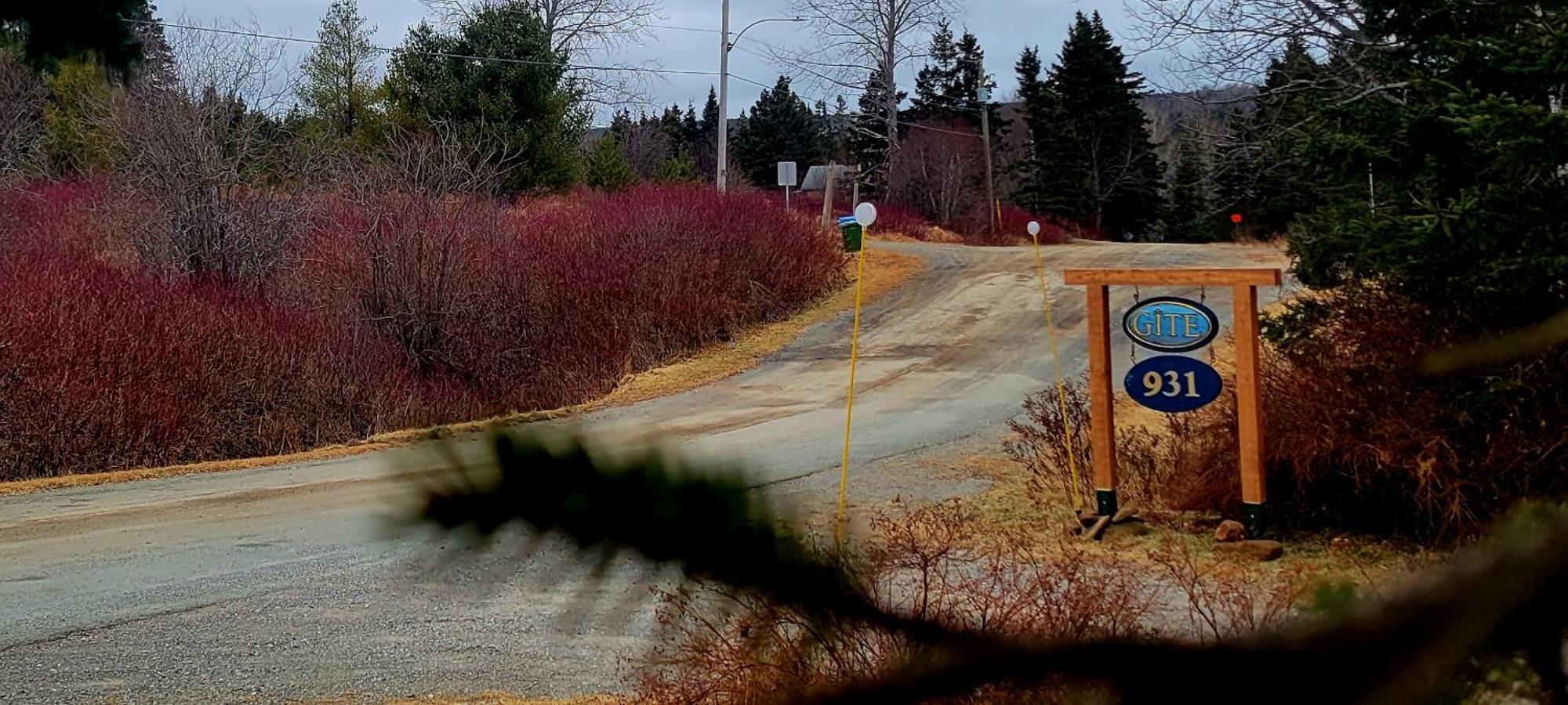 Gite Aux Jardins De L'Anse Perce Eksteriør billede