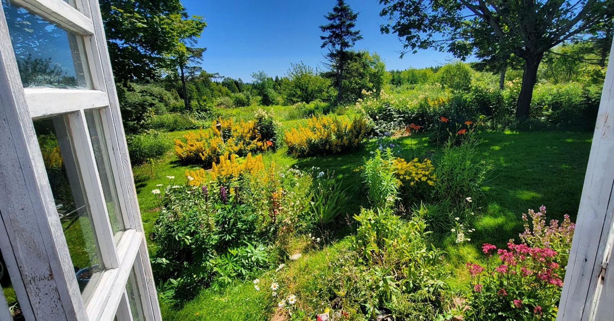 Gite Aux Jardins De L'Anse Perce Eksteriør billede