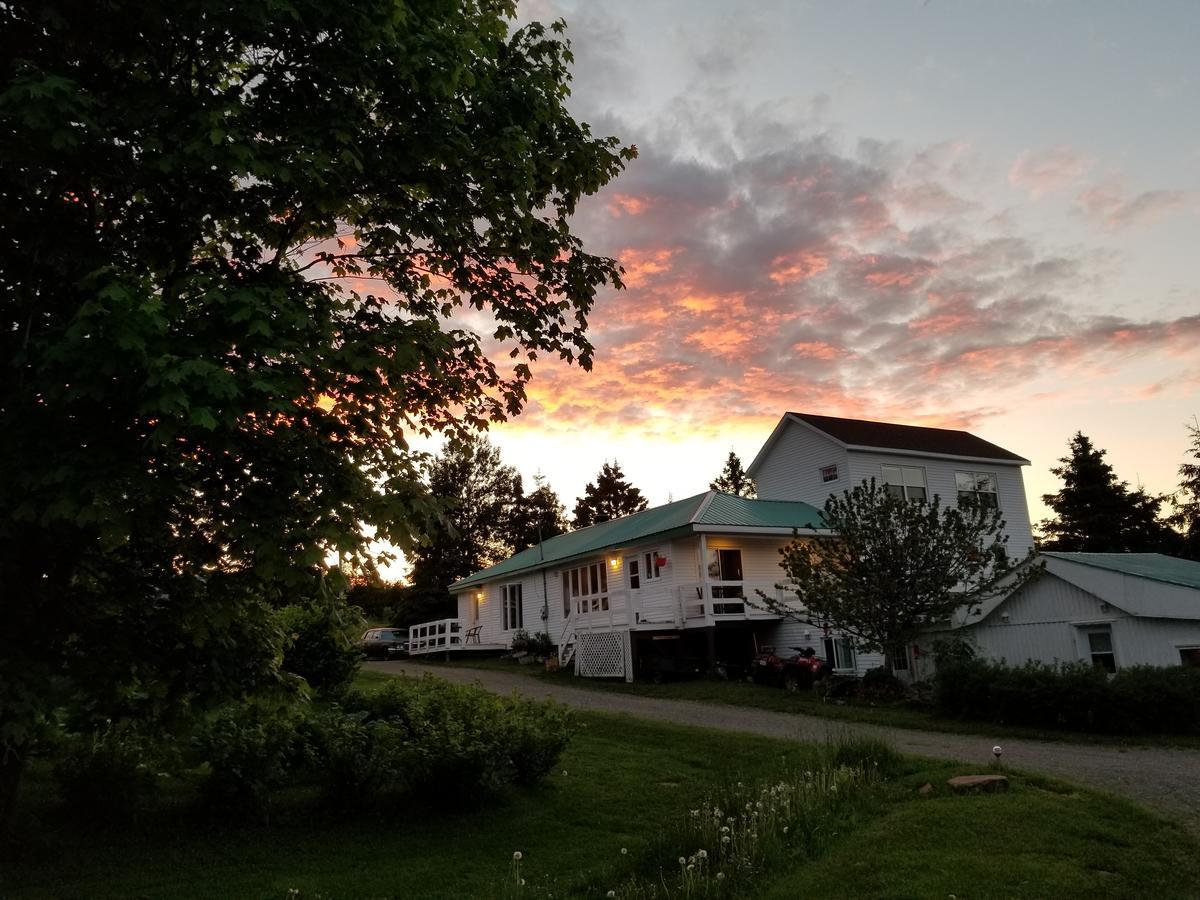 Gite Aux Jardins De L'Anse Perce Eksteriør billede
