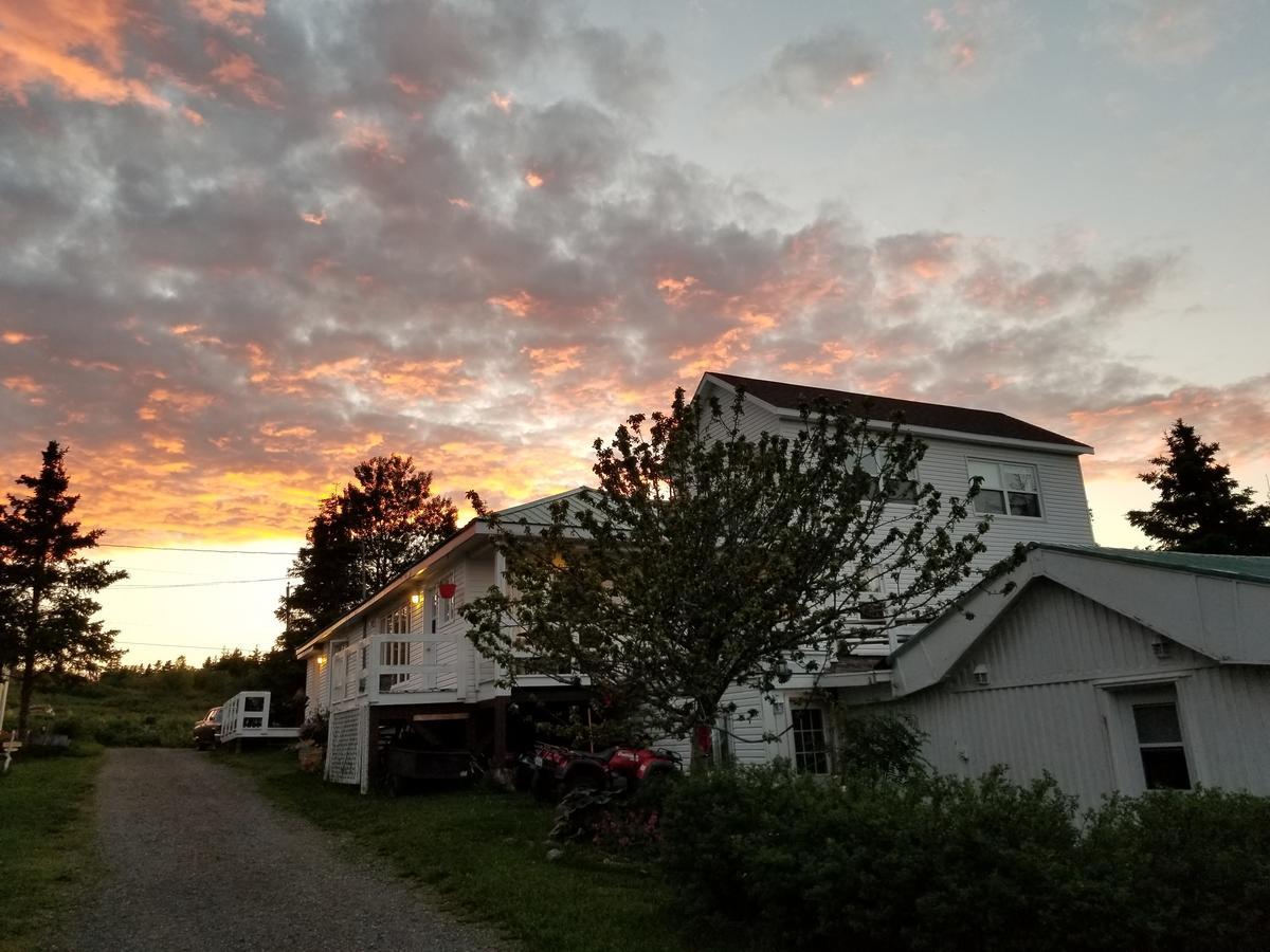 Gite Aux Jardins De L'Anse Bed and Breakfast Perce Eksteriør billede